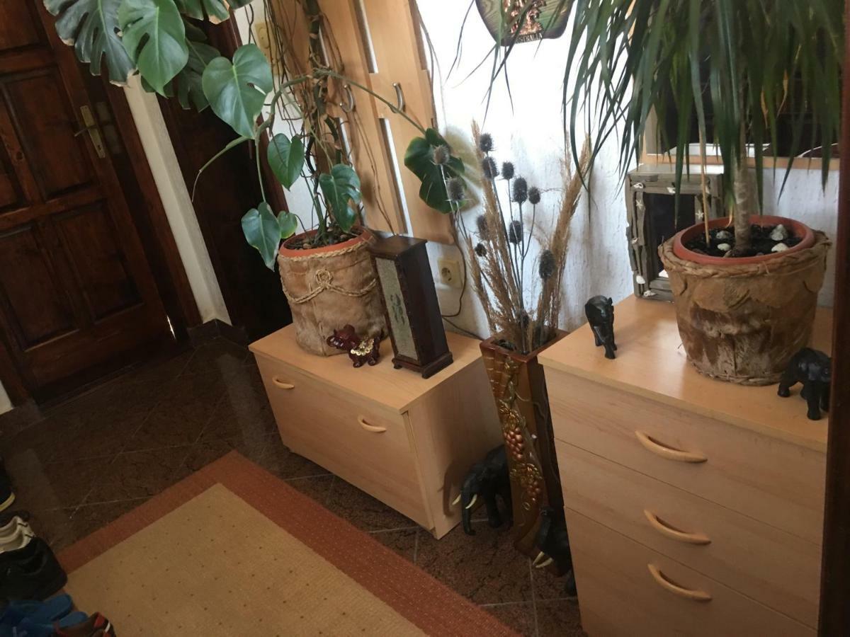 Apartmani Miljana บาร์ ภายนอก รูปภาพ
