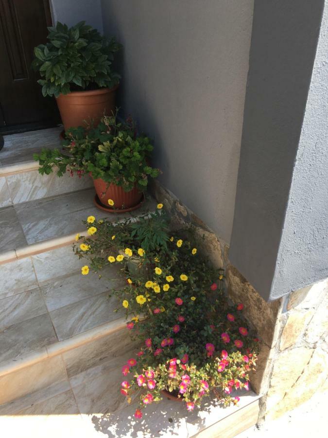 Apartmani Miljana บาร์ ภายนอก รูปภาพ